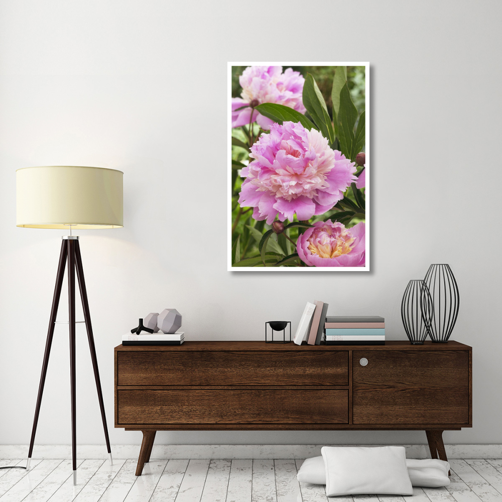 Peony mme emile debatene variety flowers-Paper Art-34&quotx50"