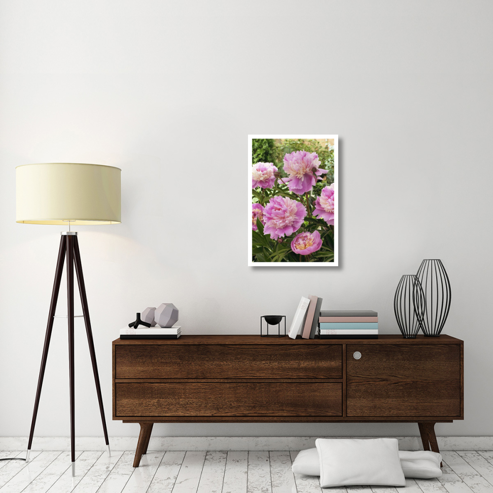 Peony mme emile debatene variety flowers-Paper Art-22&quotx32"
