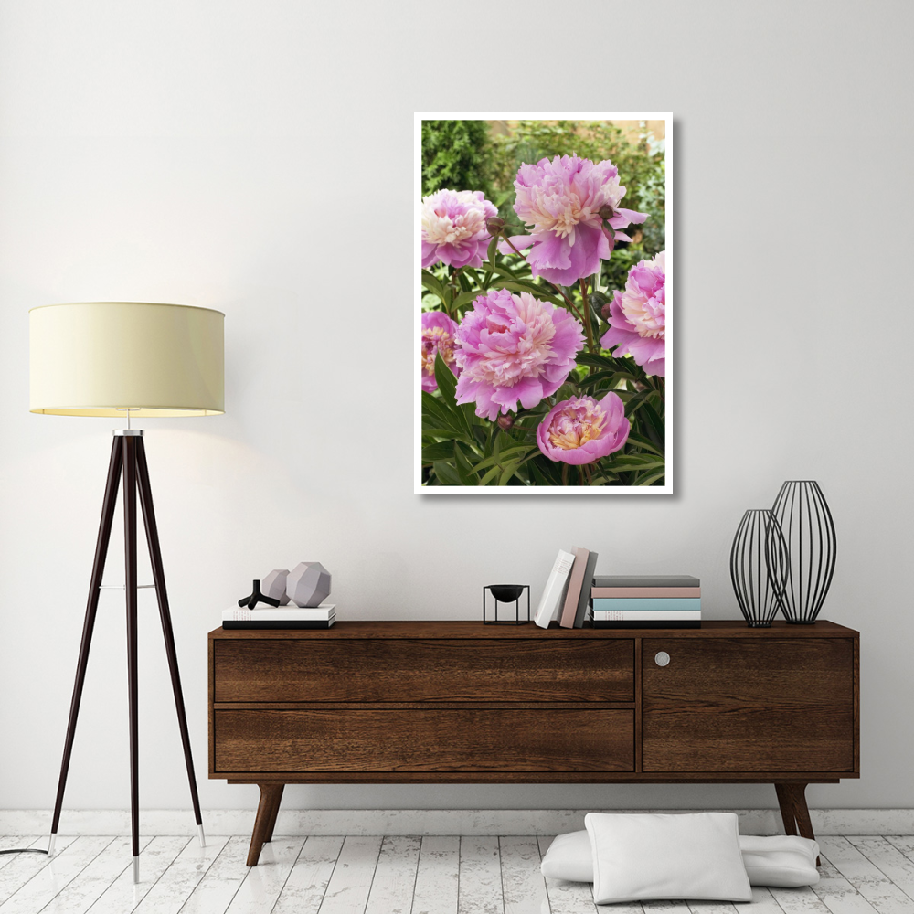 Peony mme emile debatene variety flowers-Paper Art-34&quotx50"