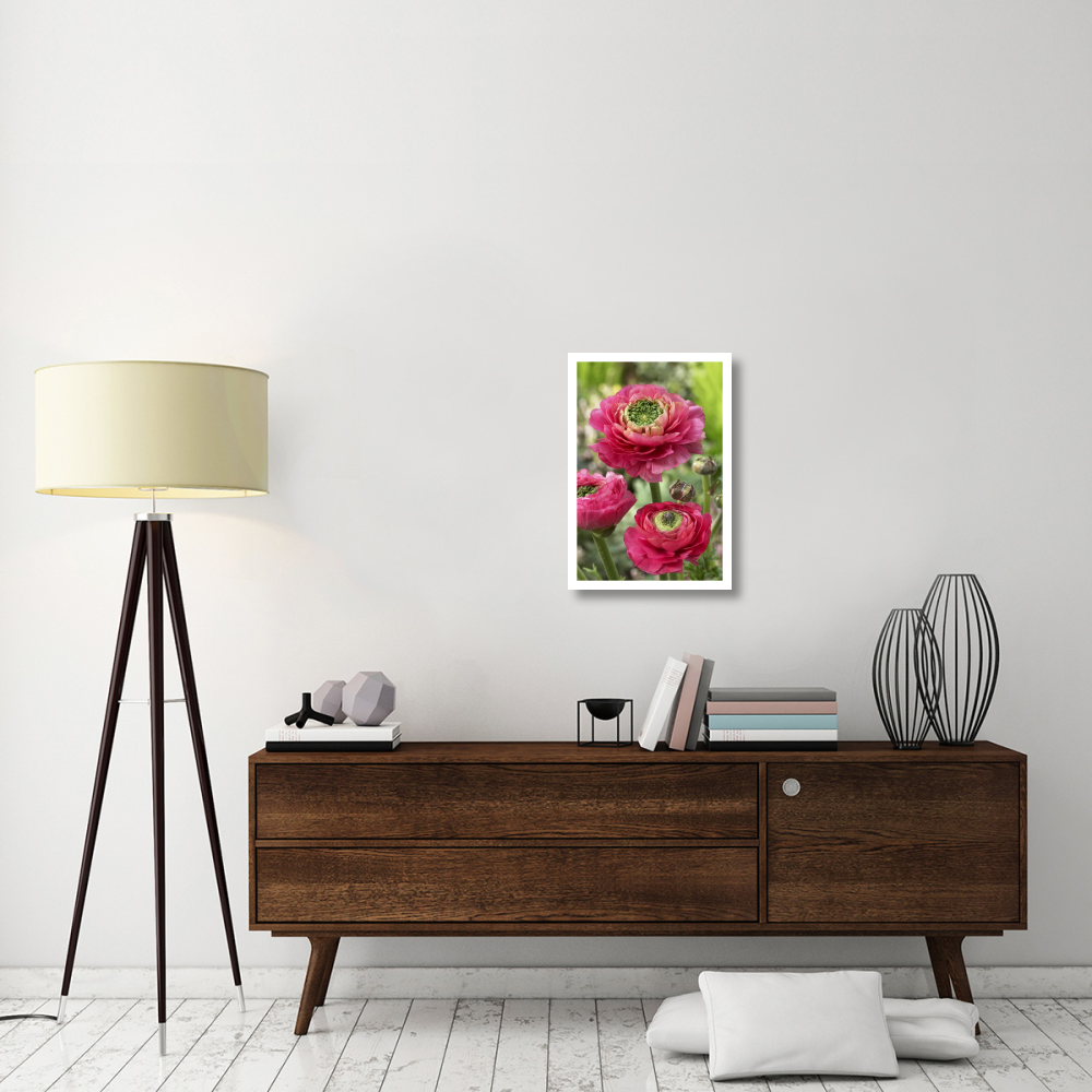 Buttercup mirabelle vert variety flowers-Paper Art-18&quotx26"