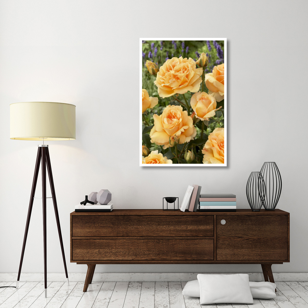 Rose solo mio renaissance variety flowers-Paper Art-34&quotx50"