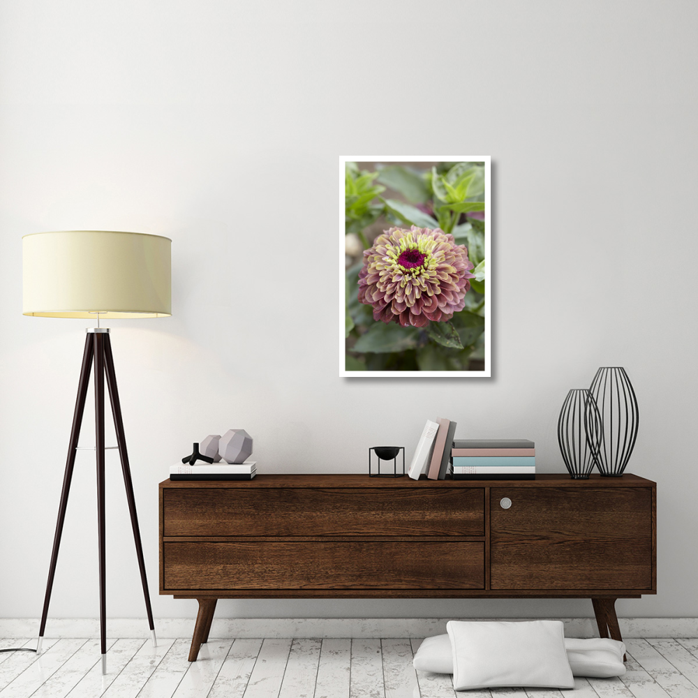 Elegant Zinnia queen red lime variety flower-Paper Art-26&quotx38"