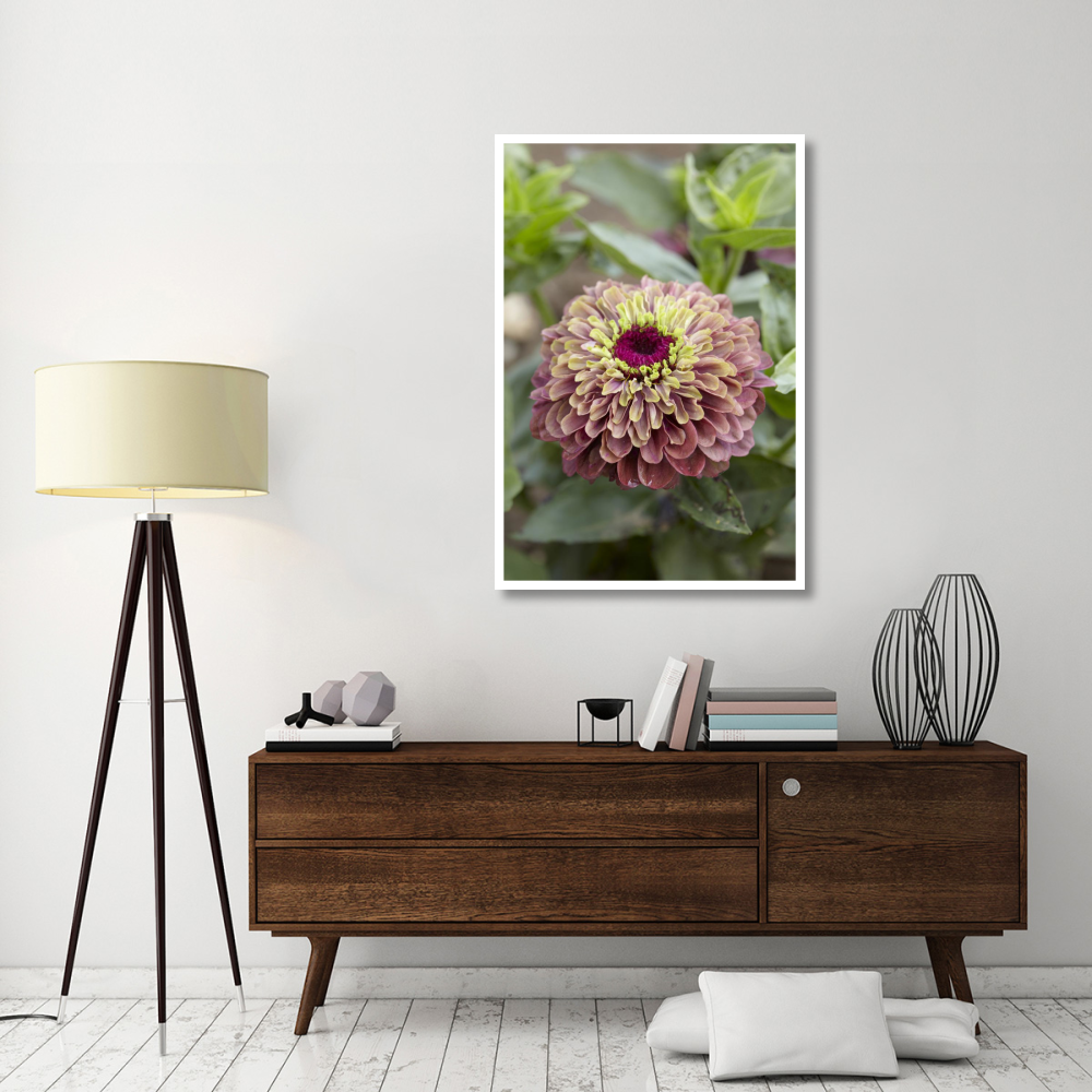 Elegant Zinnia queen red lime variety flower-Paper Art-34&quotx50"