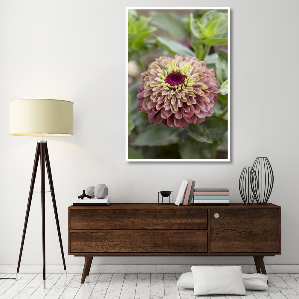 Elegant Zinnia queen red lime variety flower-Paper Art-42&quotx62"