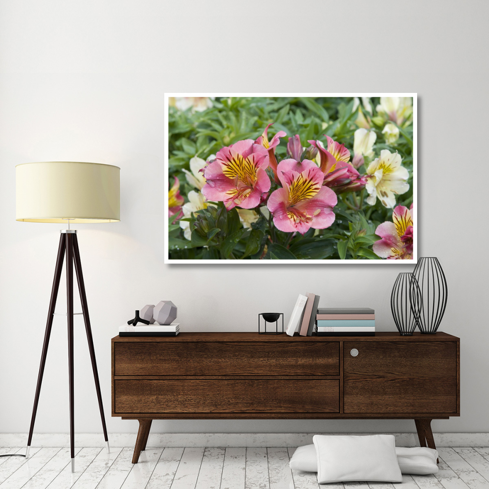 Peruvian Lily princess lilies variety flowers-Paper Art-62&quotx42"