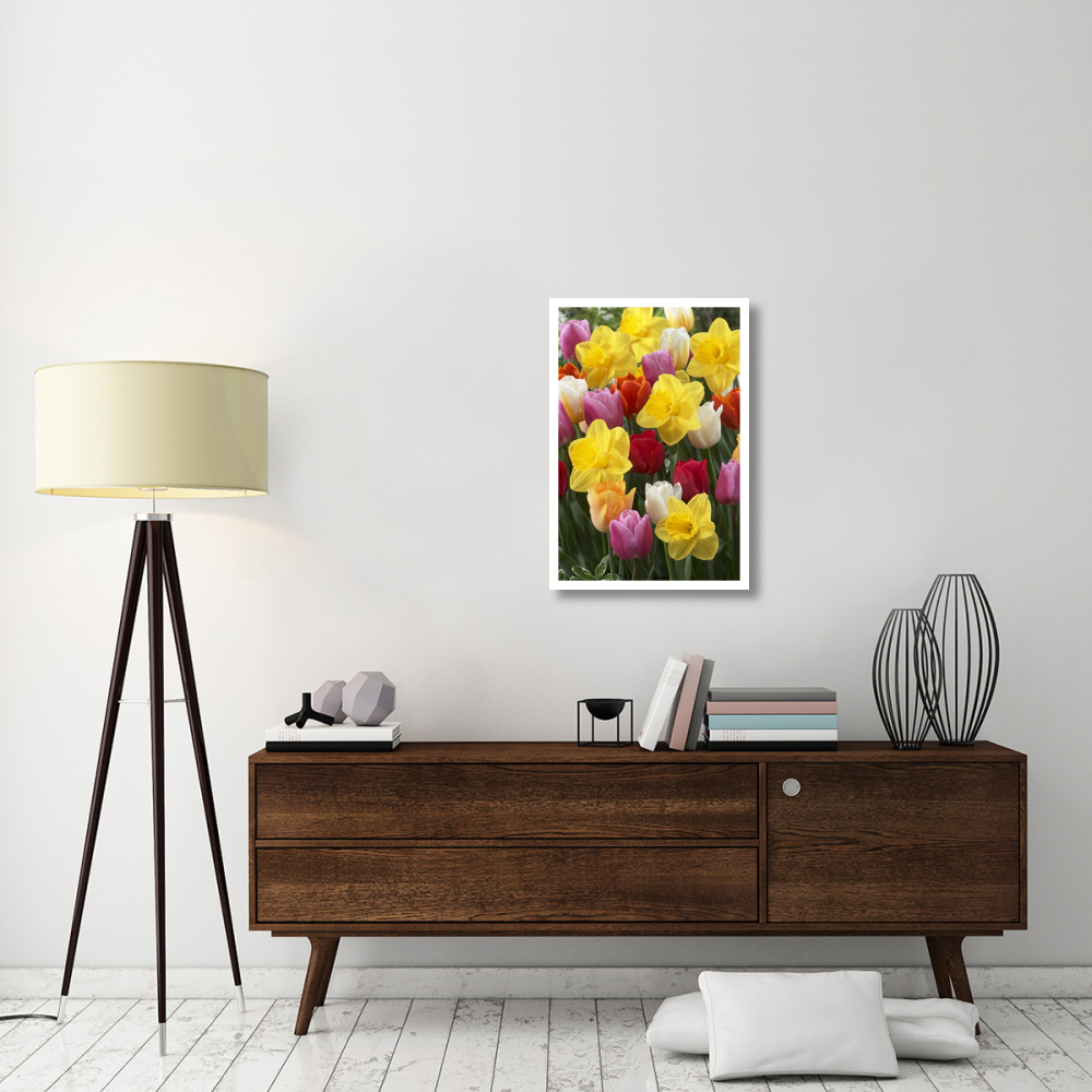 Daffodil lucky number variety, and Tulip flowers-Paper Art-22&quotx32"