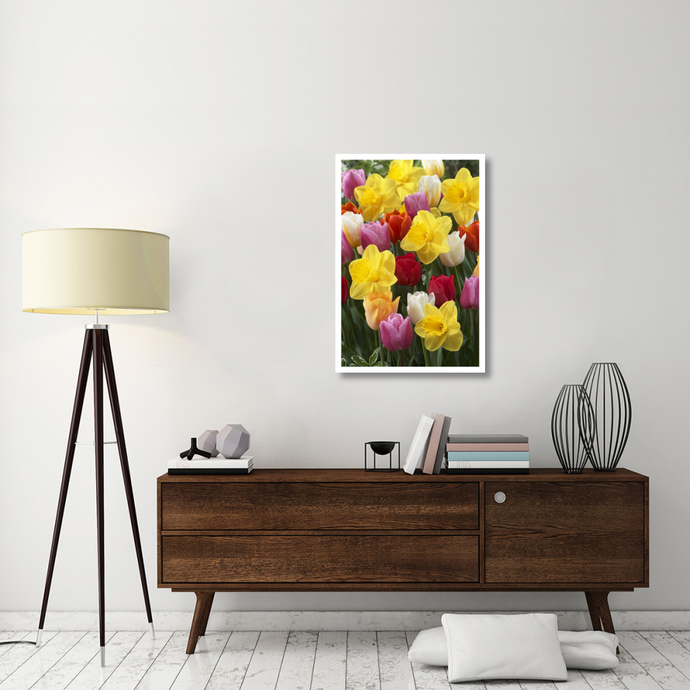 Daffodil lucky number variety, and Tulip flowers-Paper Art-26&quotx38"