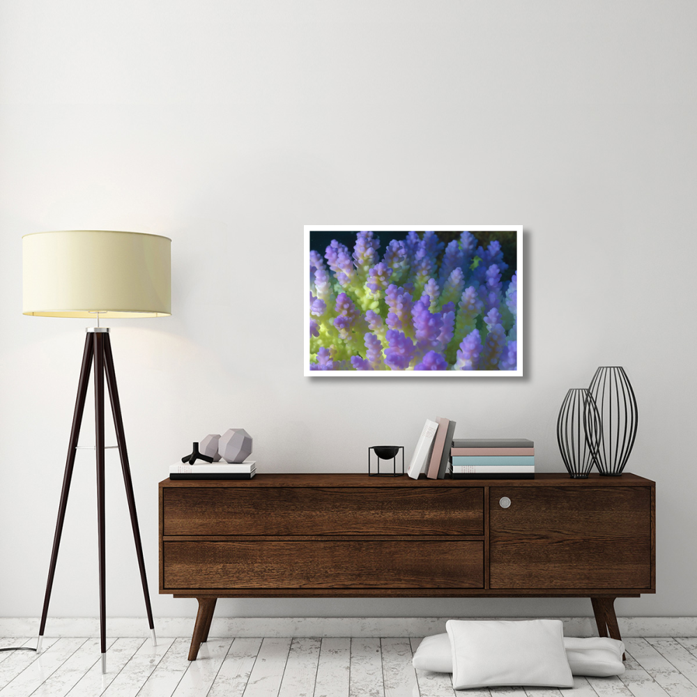 Stony Coral bleached branching coral, Great Barrier Reef Marine Park, Queensland, Australia-Paper Art-38&quotx26"