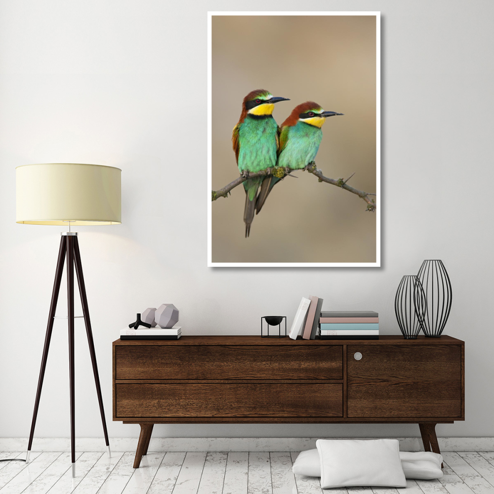 European Bee-eater, pair on an old branch, Lake Neusiedl, Austria-Paper Art-42&quotx62"
