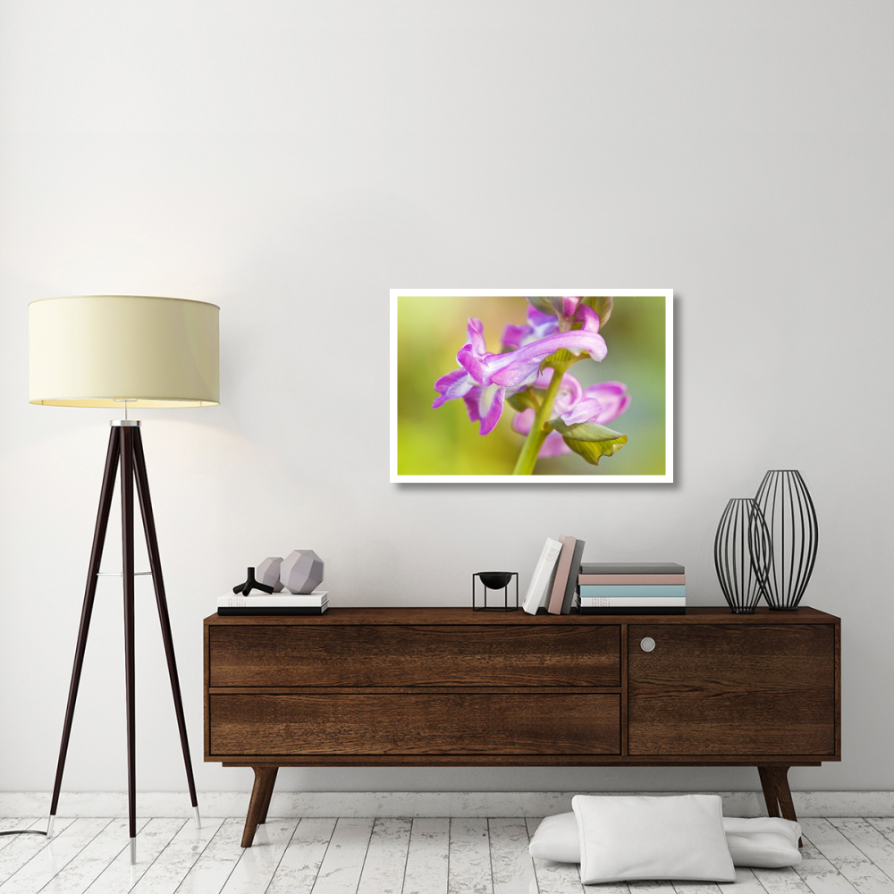 Hollow Larkspur-Paper Art-38&quotx26"