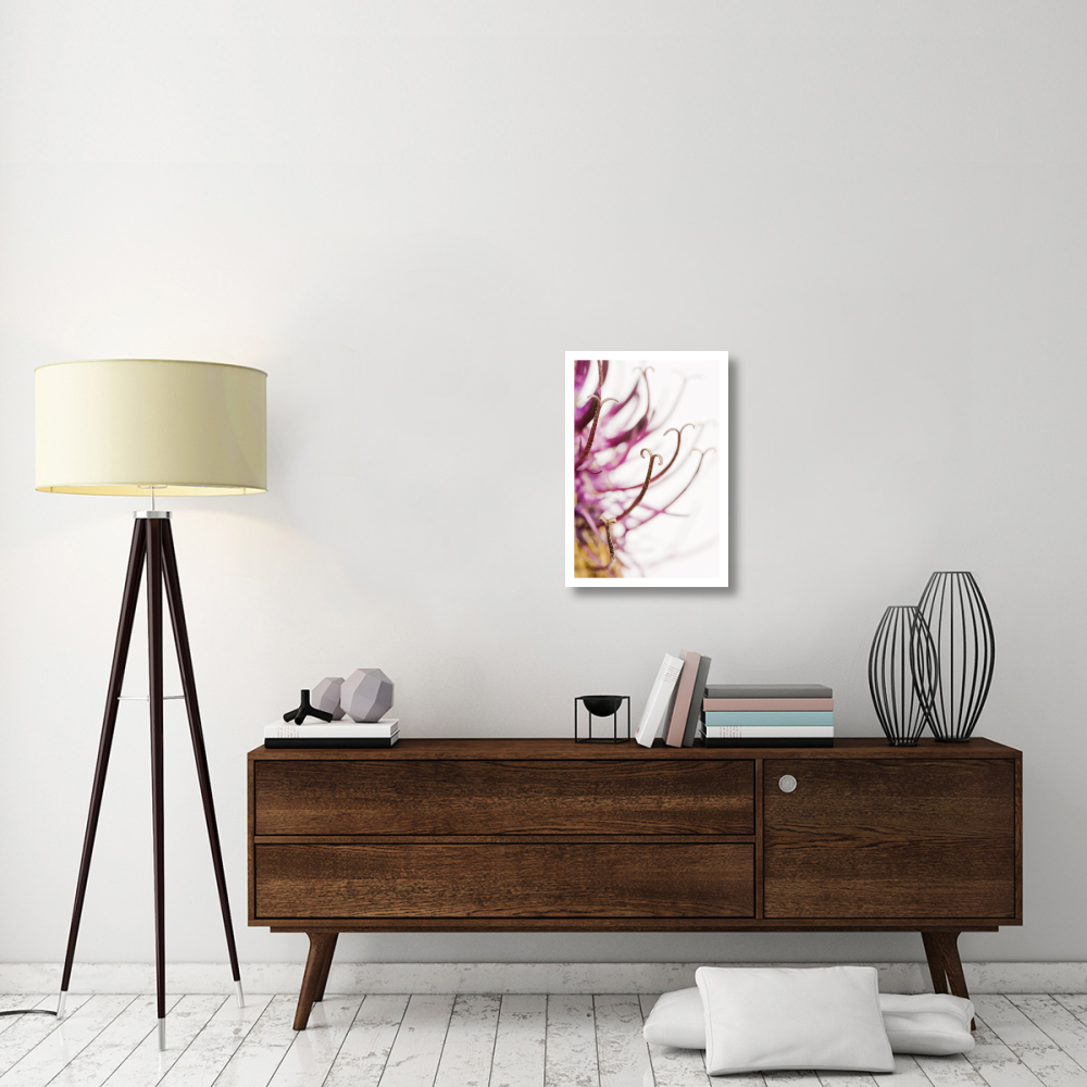 Black Rampion Flower Detail-Paper Art-18&quotx26"