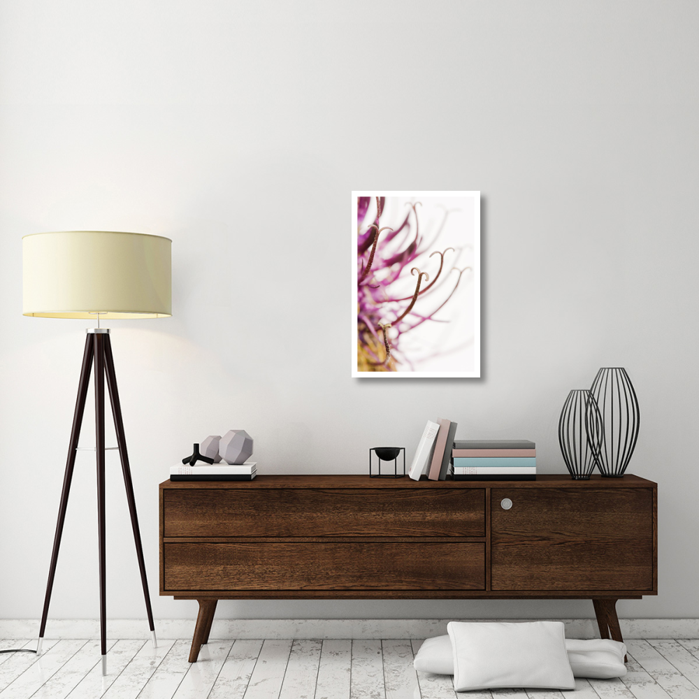 Black Rampion Flower Detail-Paper Art-22&quotx32"
