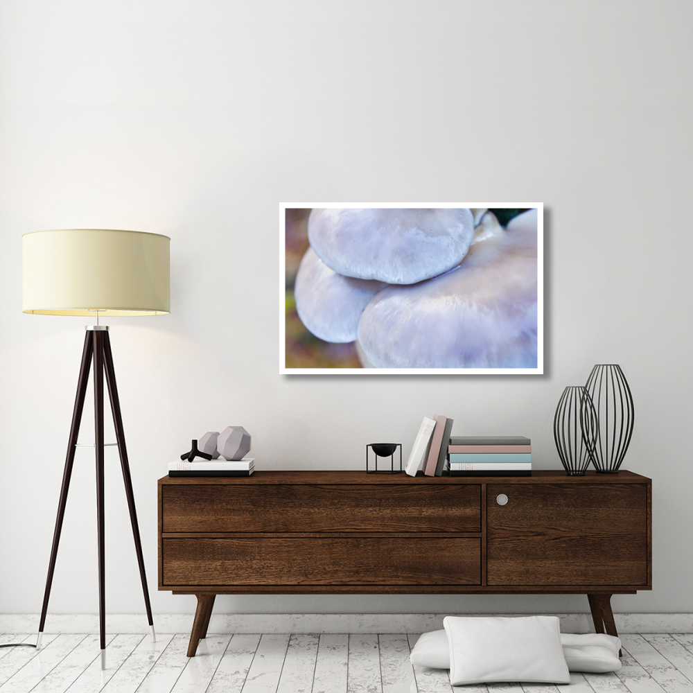 Porcelain Mushroom or Poached Egg Fungus Detail-Paper Art-46&quotx29.72"