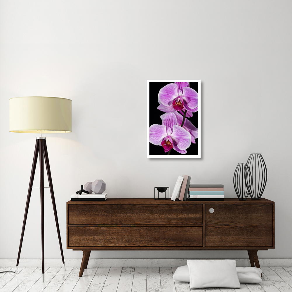 Orchid Flowering  Beveren-Waas  Belgium-Paper Art-22"&quotX32""