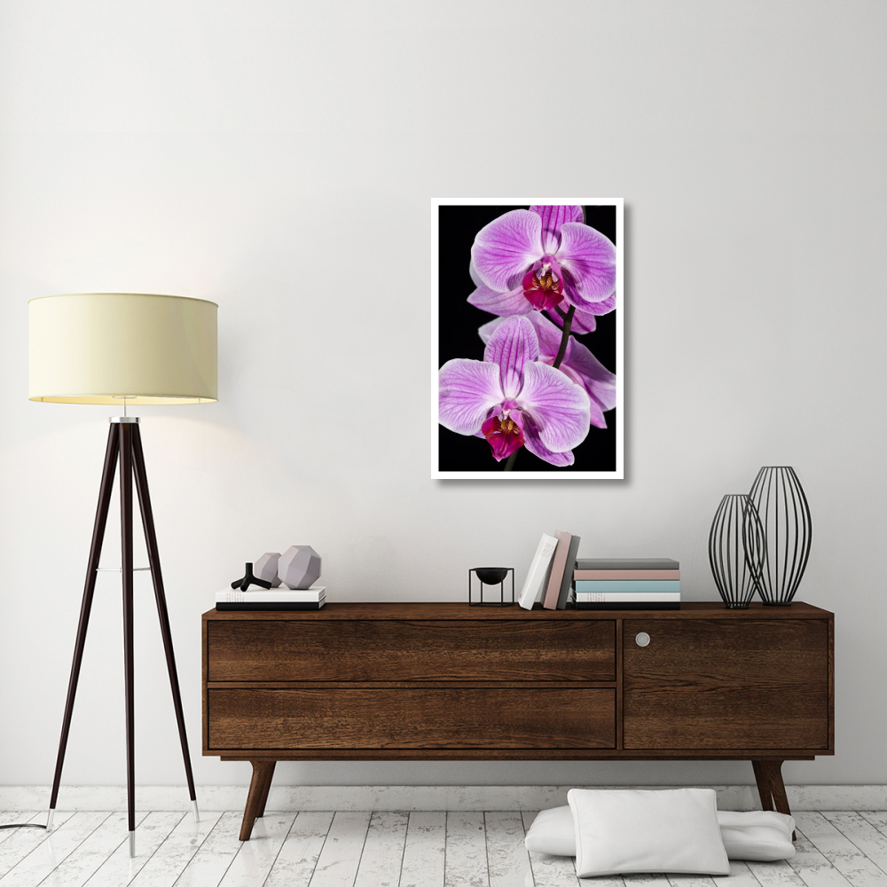 Orchid Flowering  Beveren-Waas  Belgium-Paper Art-26"&quotX38""