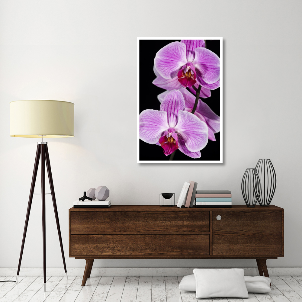 Orchid Flowering  Beveren-Waas  Belgium-Paper Art-34"&quotX50""