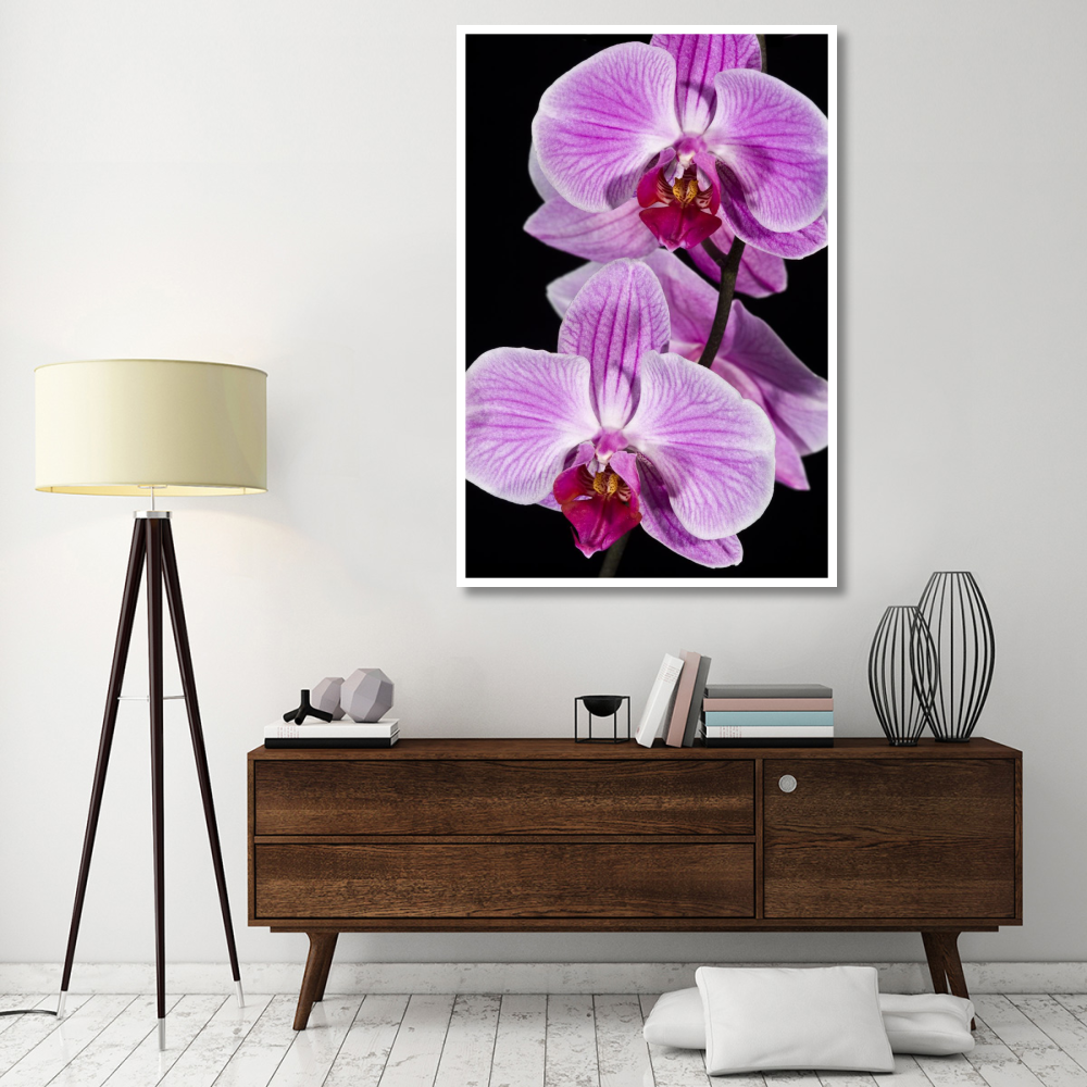 Orchid Flowering  Beveren-Waas  Belgium-Paper Art-42"&quotX62""