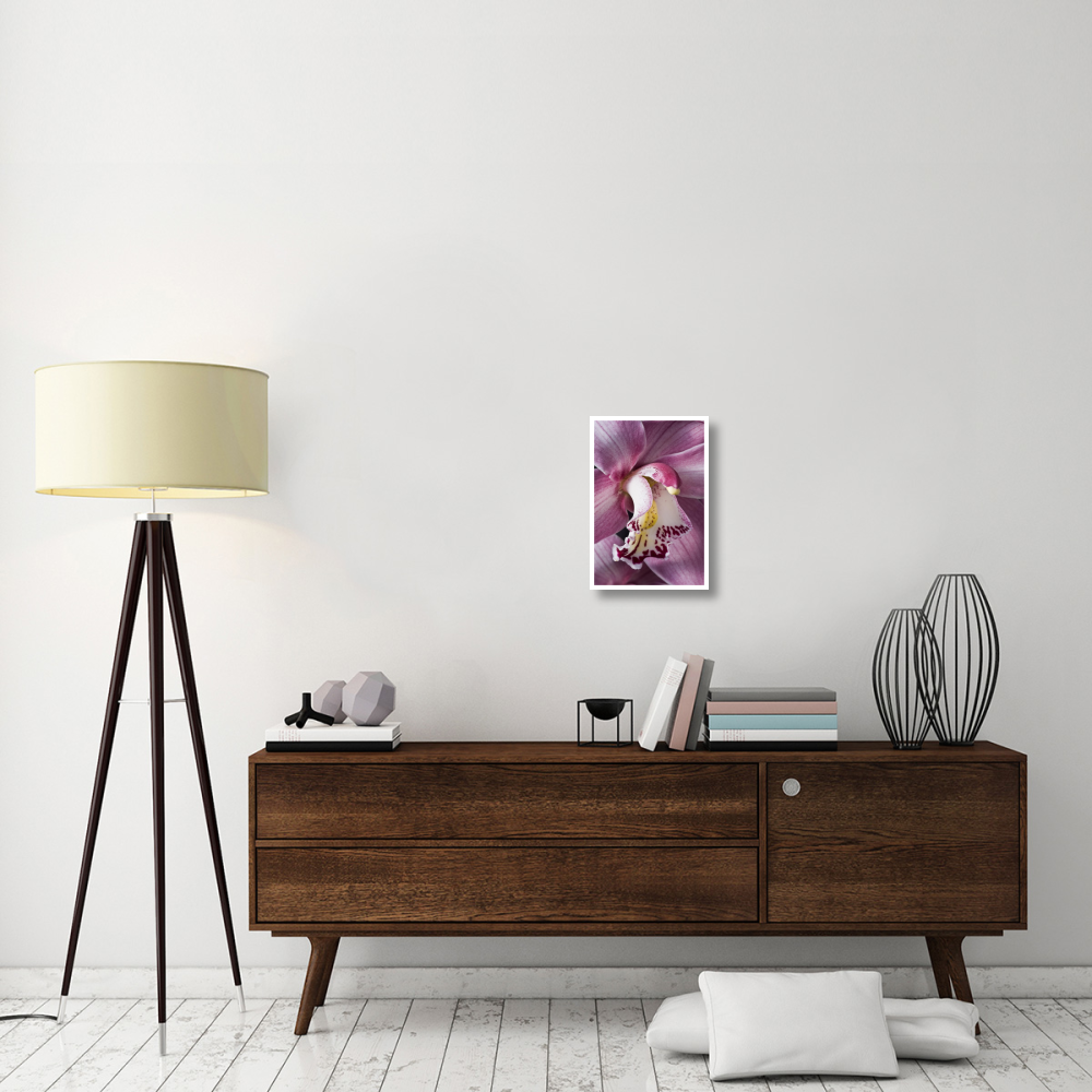 Orchid flowering, Keukenhof, Lisse, South Holland, Netherlands-Paper Art-14&quotx20"