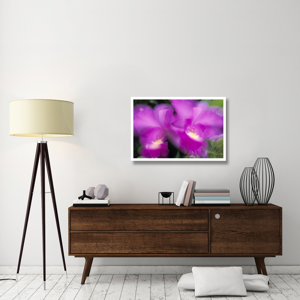 Orchid close up-Paper Art-38&quotx26"