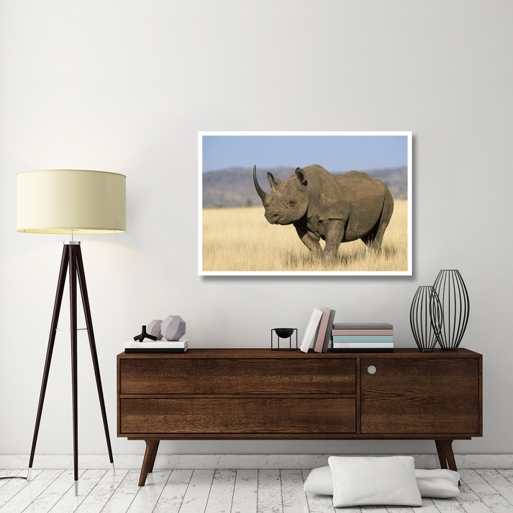 Black Rhinoceros Africa-Paper Art-50&quotx34"