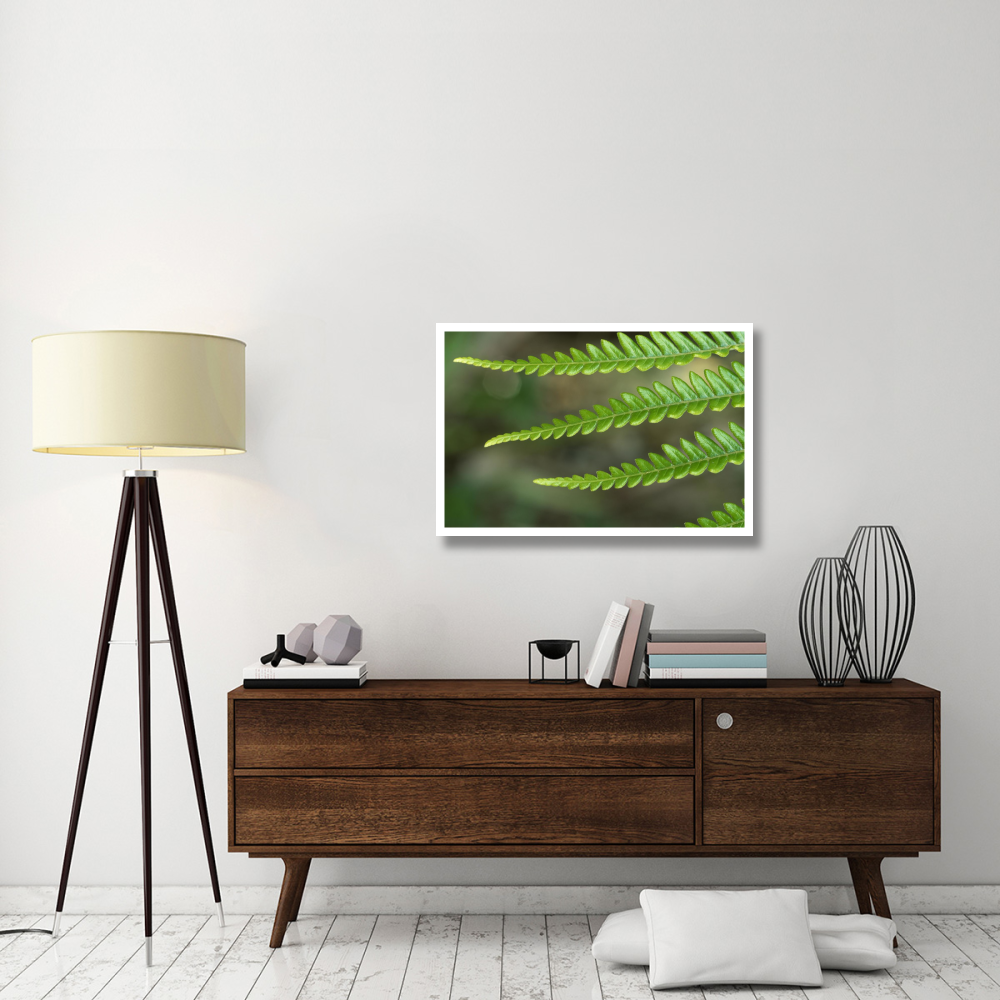 Fern frond, detail, Hawaii-Paper Art-38&quotx26"
