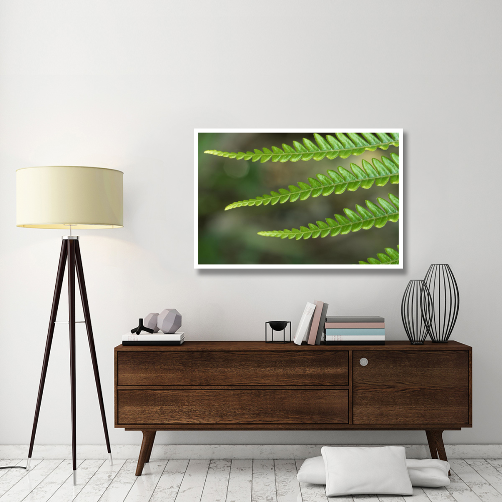 Fern frond, detail, Hawaii-Paper Art-50&quotx34"