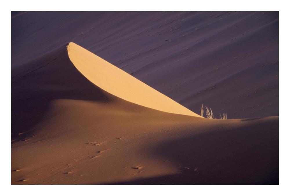 Sand dune, Namib Desert, Namibia-Paper Art-26"x18"