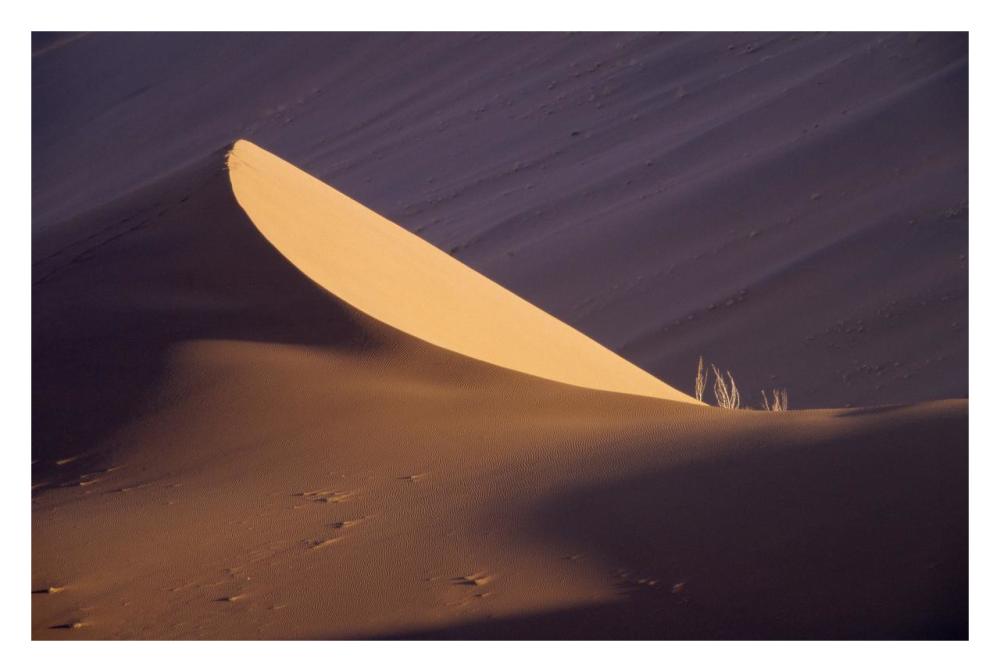 Sand dune, Namib Desert, Namibia-Paper Art-32"x22"