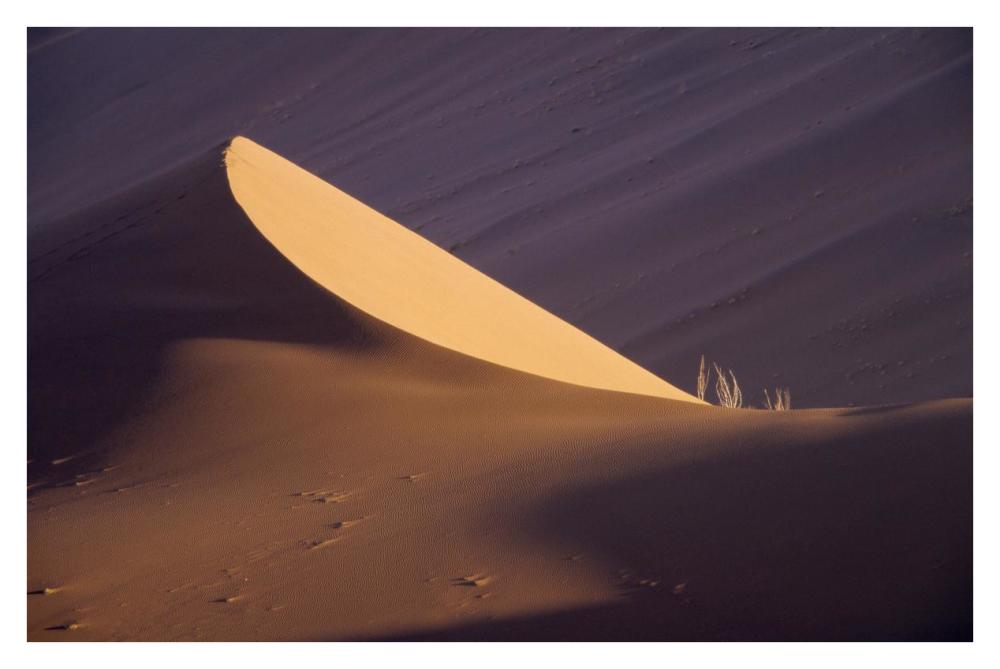 Sand dune, Namib Desert, Namibia-Paper Art-38"x26"