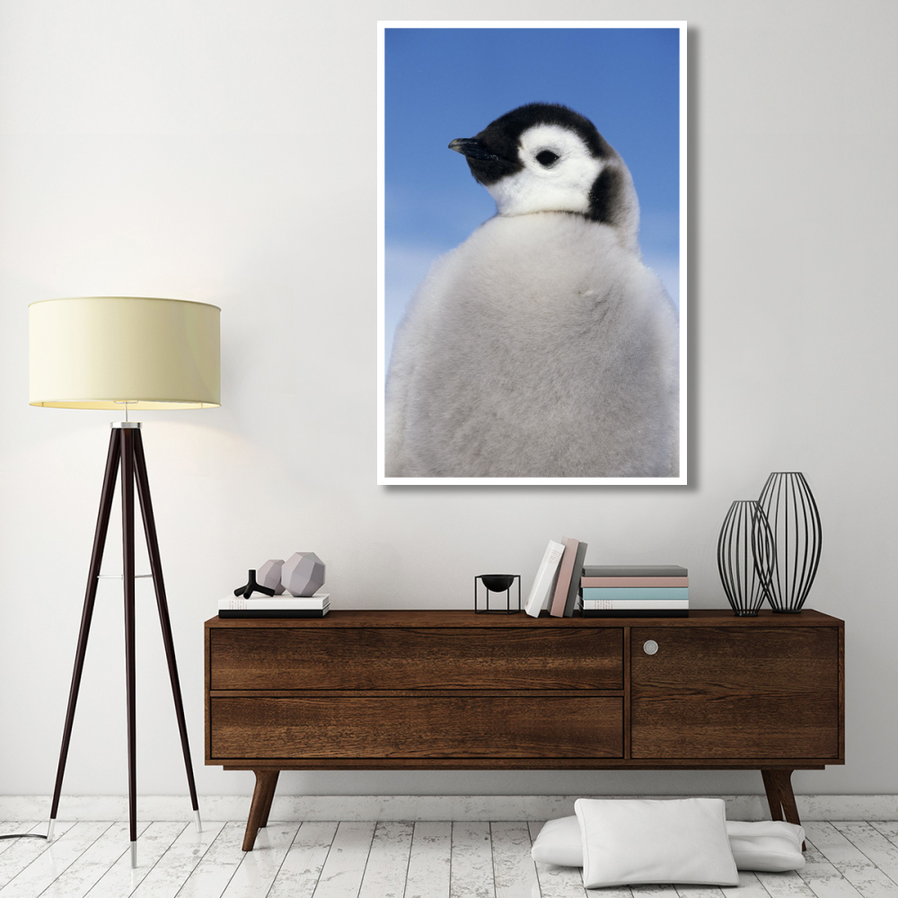 Emperor Penguin portrait of chick, Antarctica-Paper Art-42&quotx62"