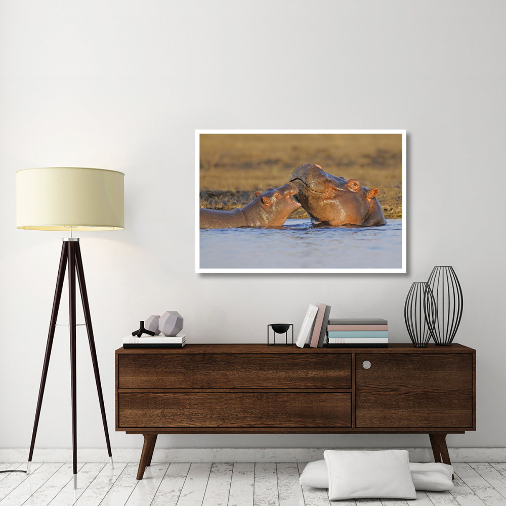 Hippo mother with calf, Chobe National Park, Botswana-Paper Art-50&quotx34"