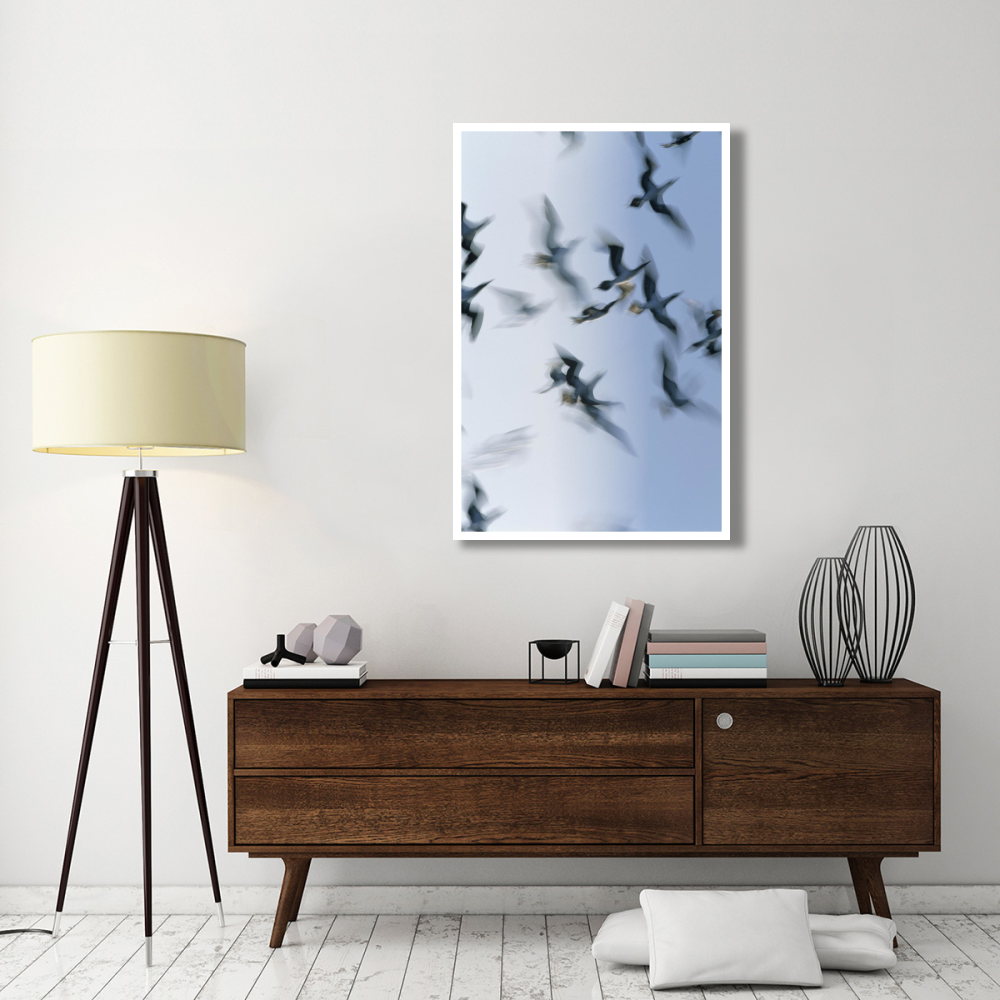 Blue-footed Booby flock flying, Galapagos Islands, Ecuador-Paper Art-34&quotx50"