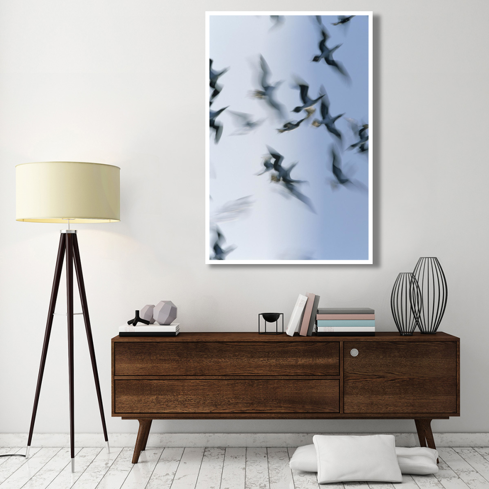 Blue-footed Booby flock flying, Galapagos Islands, Ecuador-Paper Art-42&quotx62"
