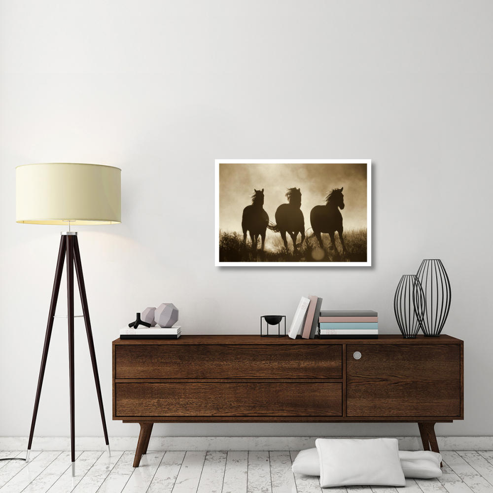 Domestic Horse trio running at sunset, Oregon - Sepia-Paper Art-38&quotx26"