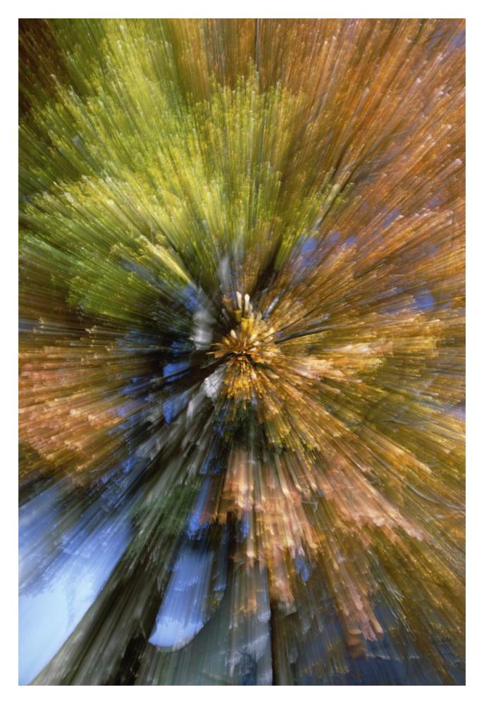 Autumn foliage, abstract-Paper Art-14"x20"