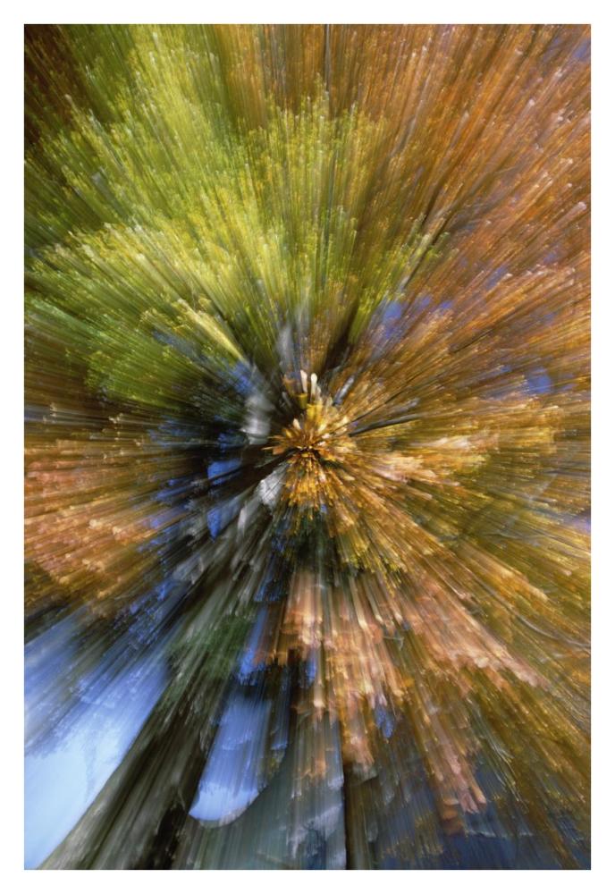 Autumn foliage, abstract-Paper Art-26"x38"