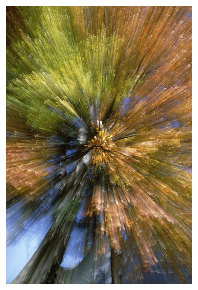 Autumn foliage, abstract-Paper Art-34"x50"