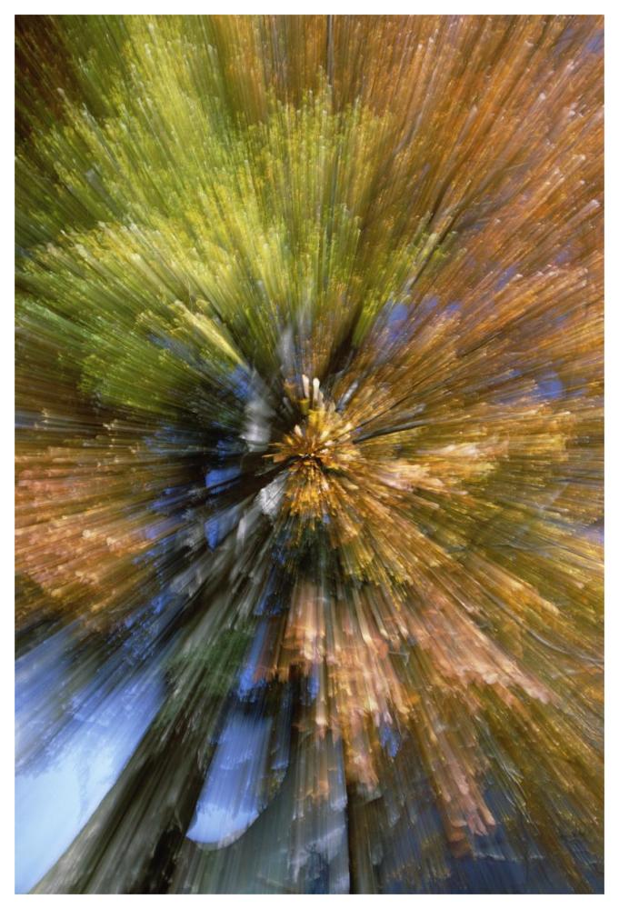 Autumn foliage, abstract-Paper Art-42"x62"