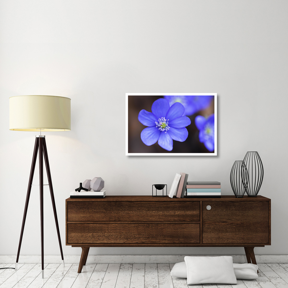 European Liver Leaf flower, Germany-Paper Art-38&quotx26"