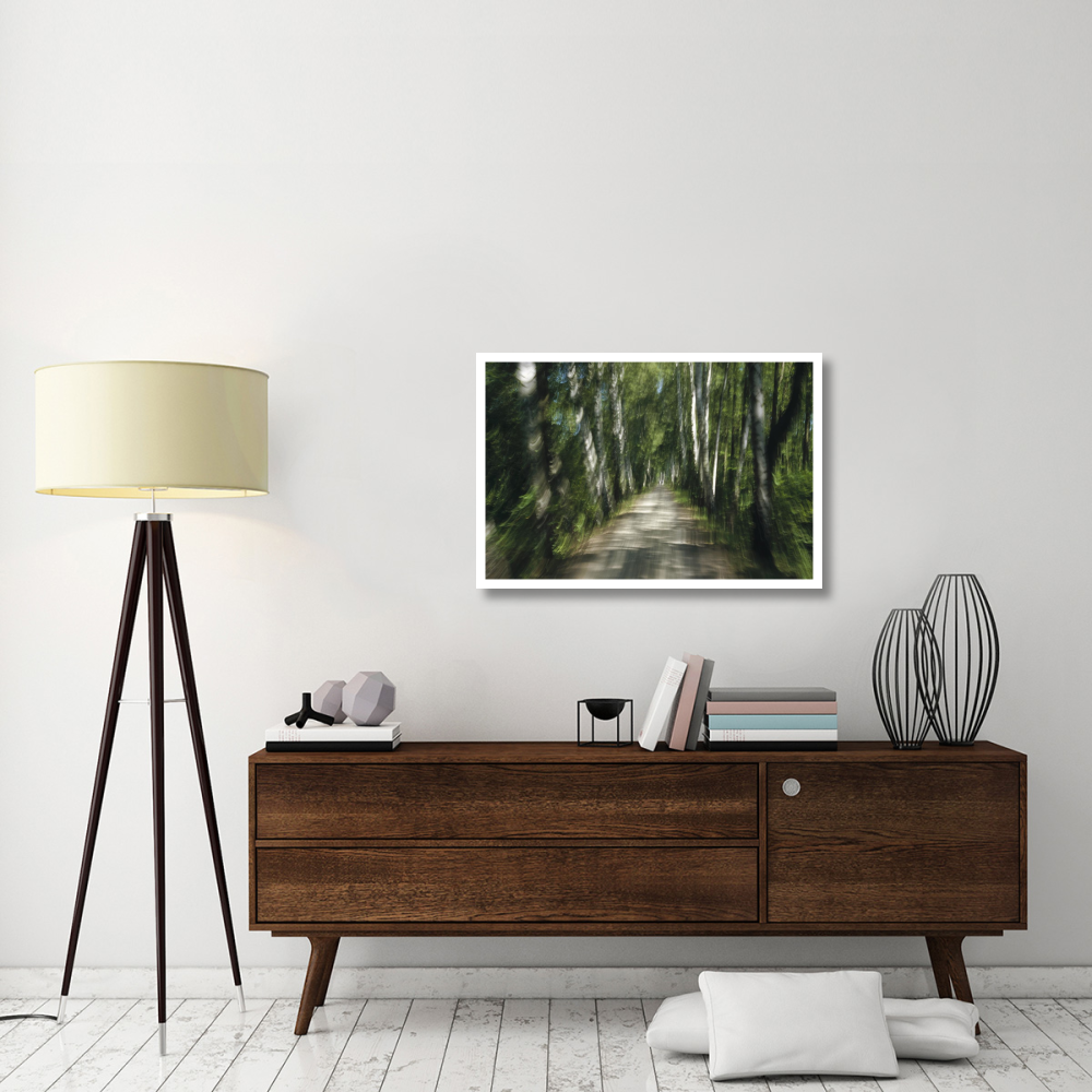 Tree lined road, abstract Oberbayern, Germany-Paper Art-38&quotx26"