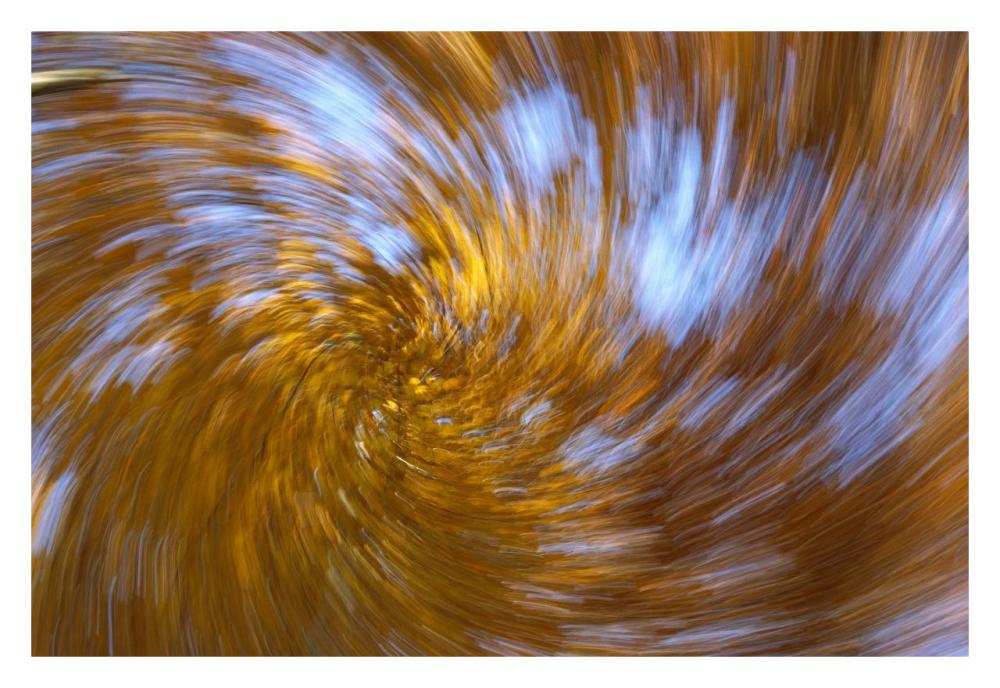European Beech abstract of autumn colors, Germany-Paper Art-32"x22"