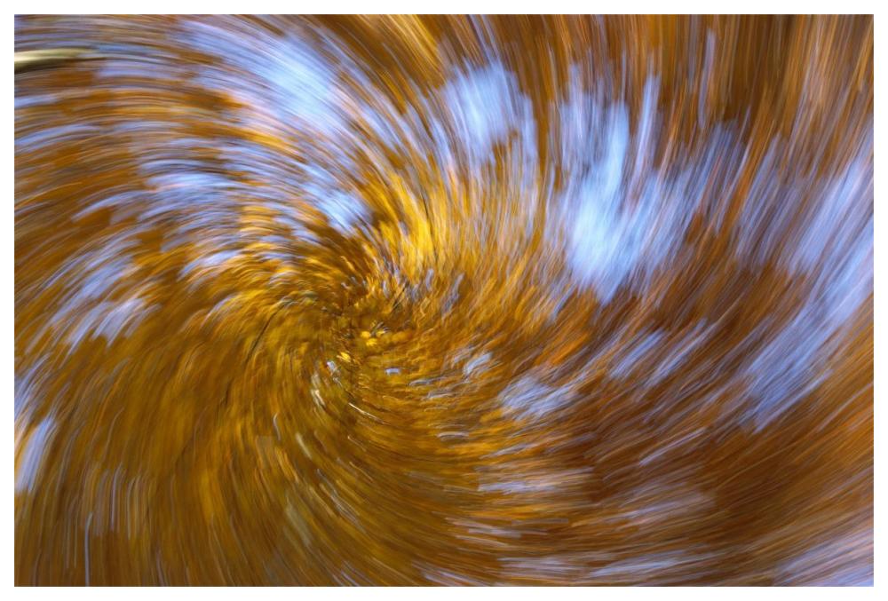 European Beech abstract of autumn colors, Germany-Paper Art-62"x42"