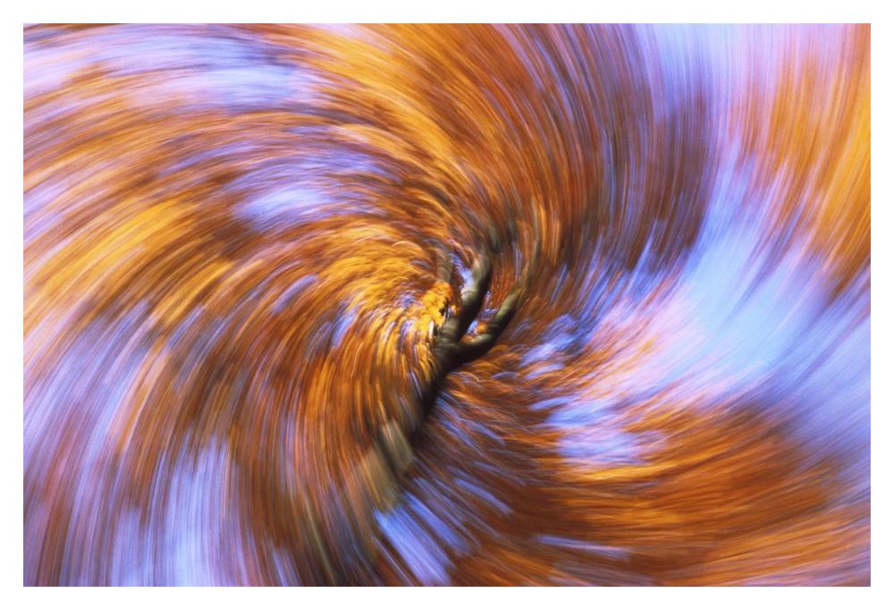 European Beech abstract of autumn colors, Germany-Paper Art-20"x14"