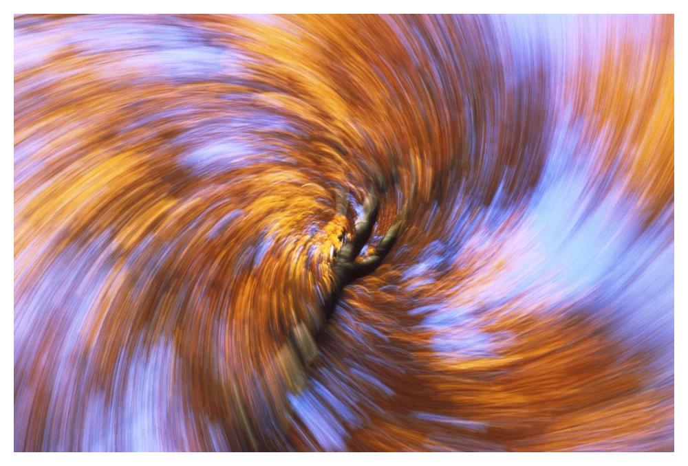 European Beech abstract of autumn colors, Germany-Paper Art-50"x34"