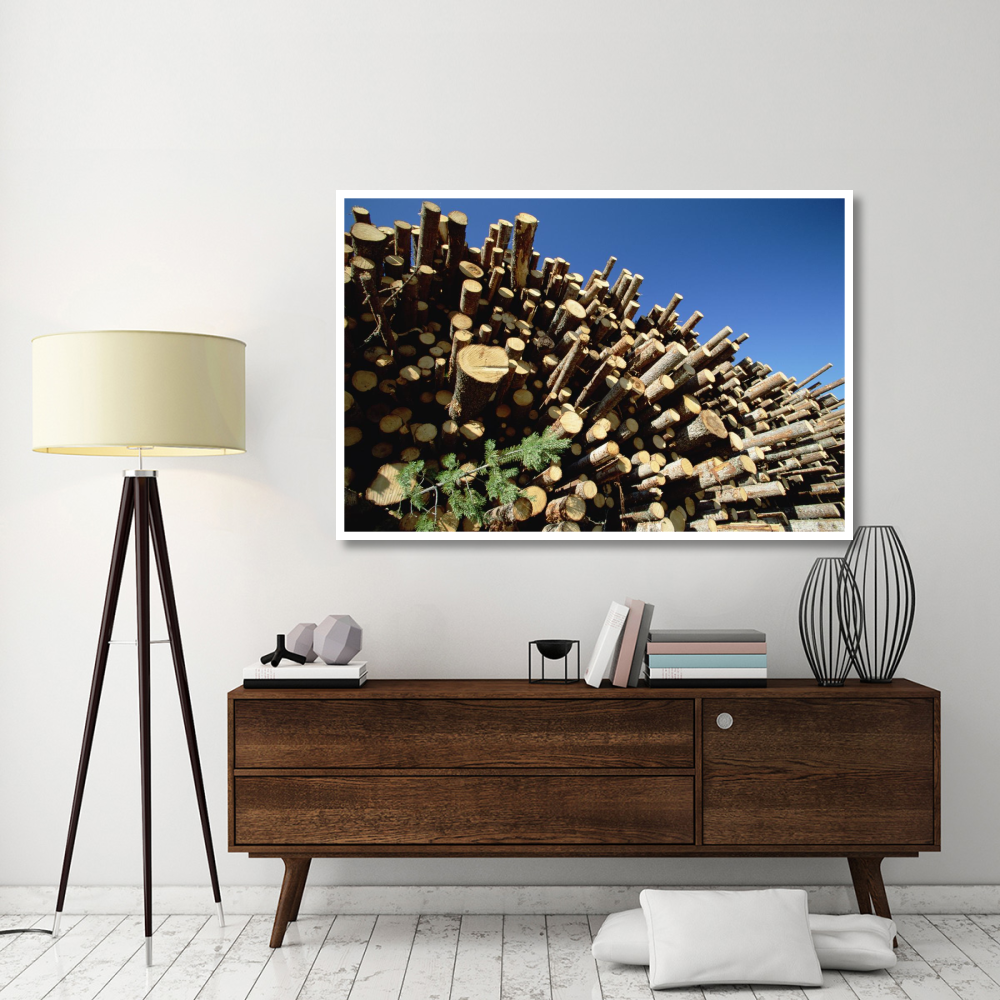 Pile of harvested Pine logs dry before being milled, Sweden-Paper Art-62&quotx42"