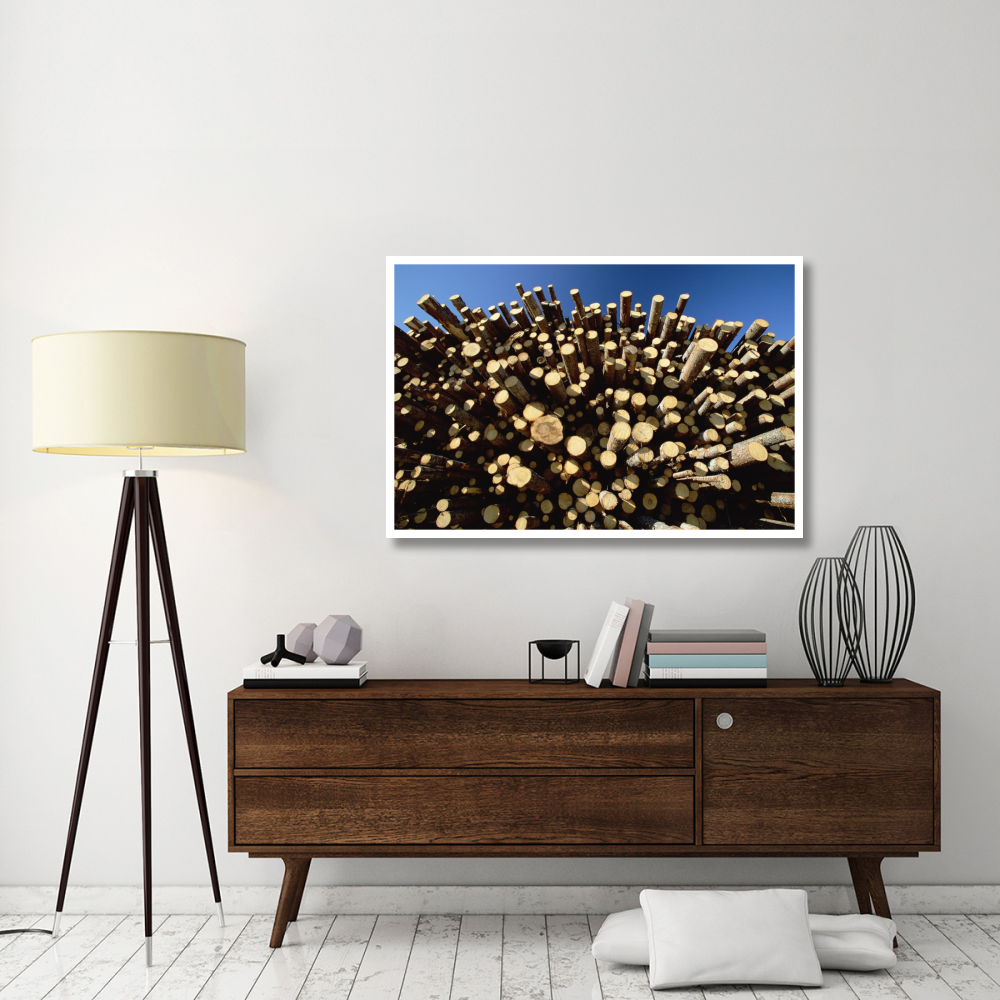 Pile of harvested Pine logs dry before being milled, Sweden-Paper Art-50&quotx34"