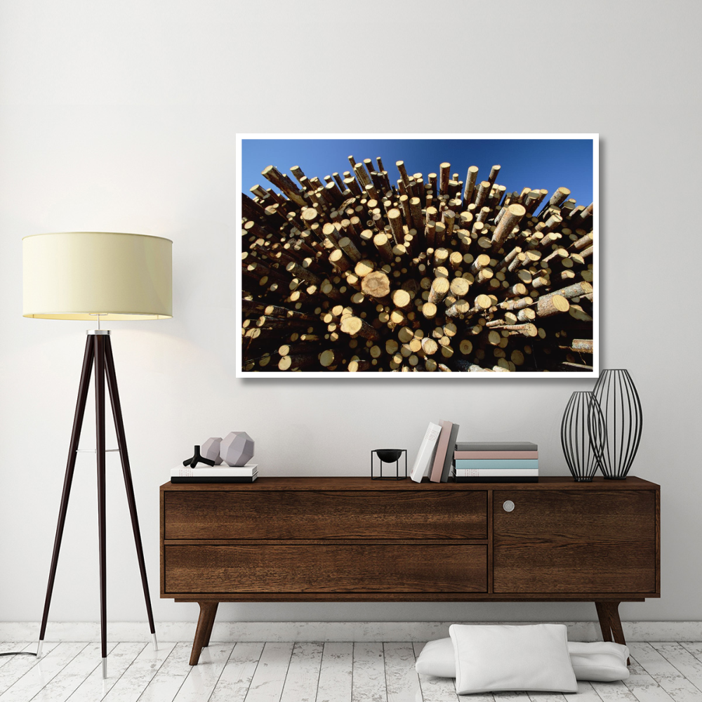 Pile of harvested Pine logs dry before being milled, Sweden-Paper Art-62&quotx42"