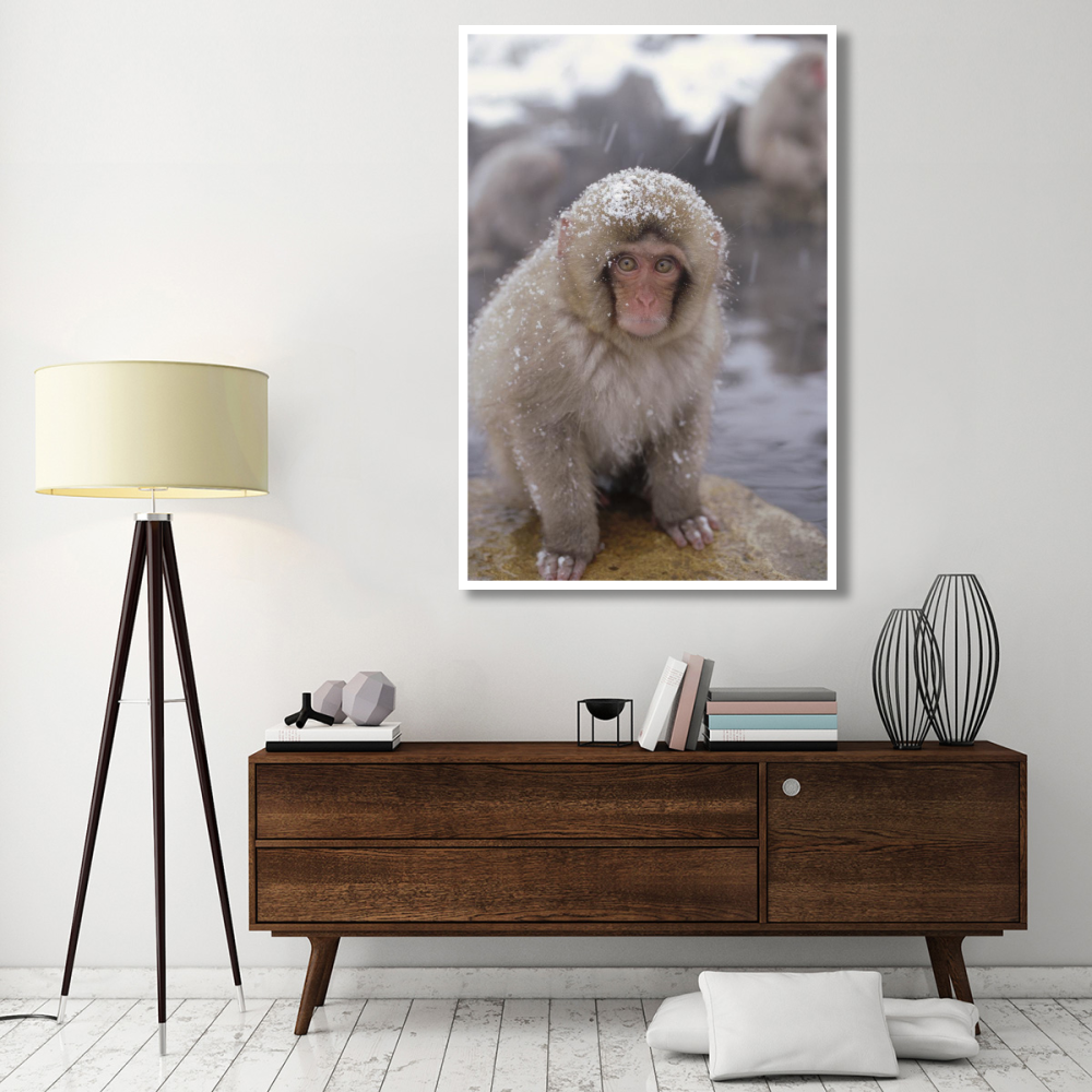 Japanese Macaque in hot springs, Japanese Alps, Nagano, Japan-Paper Art-42&quotx62"