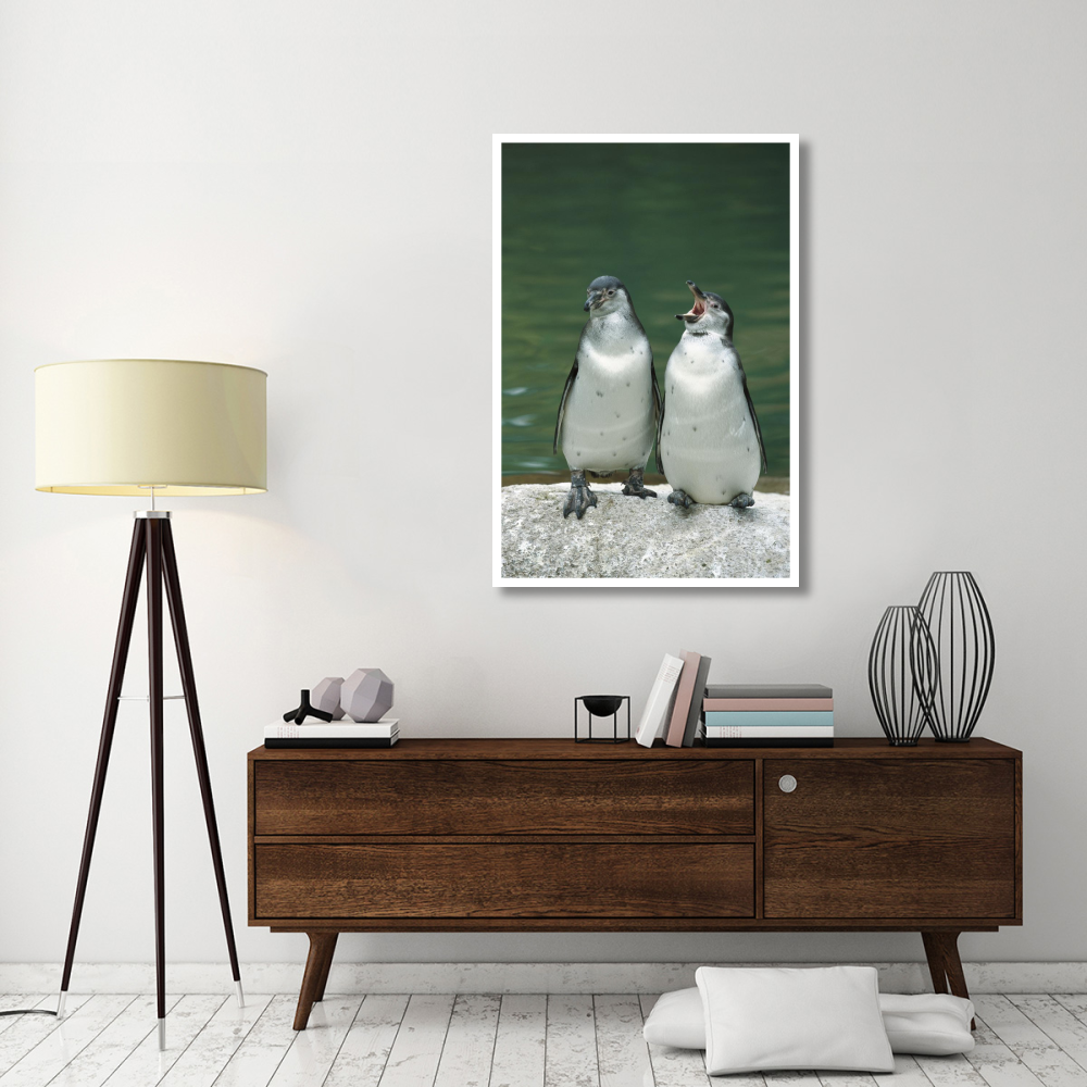 Humboldt Penguin two chicks with one calling, range into Chile and Peru-Paper Art-34&quotx50"