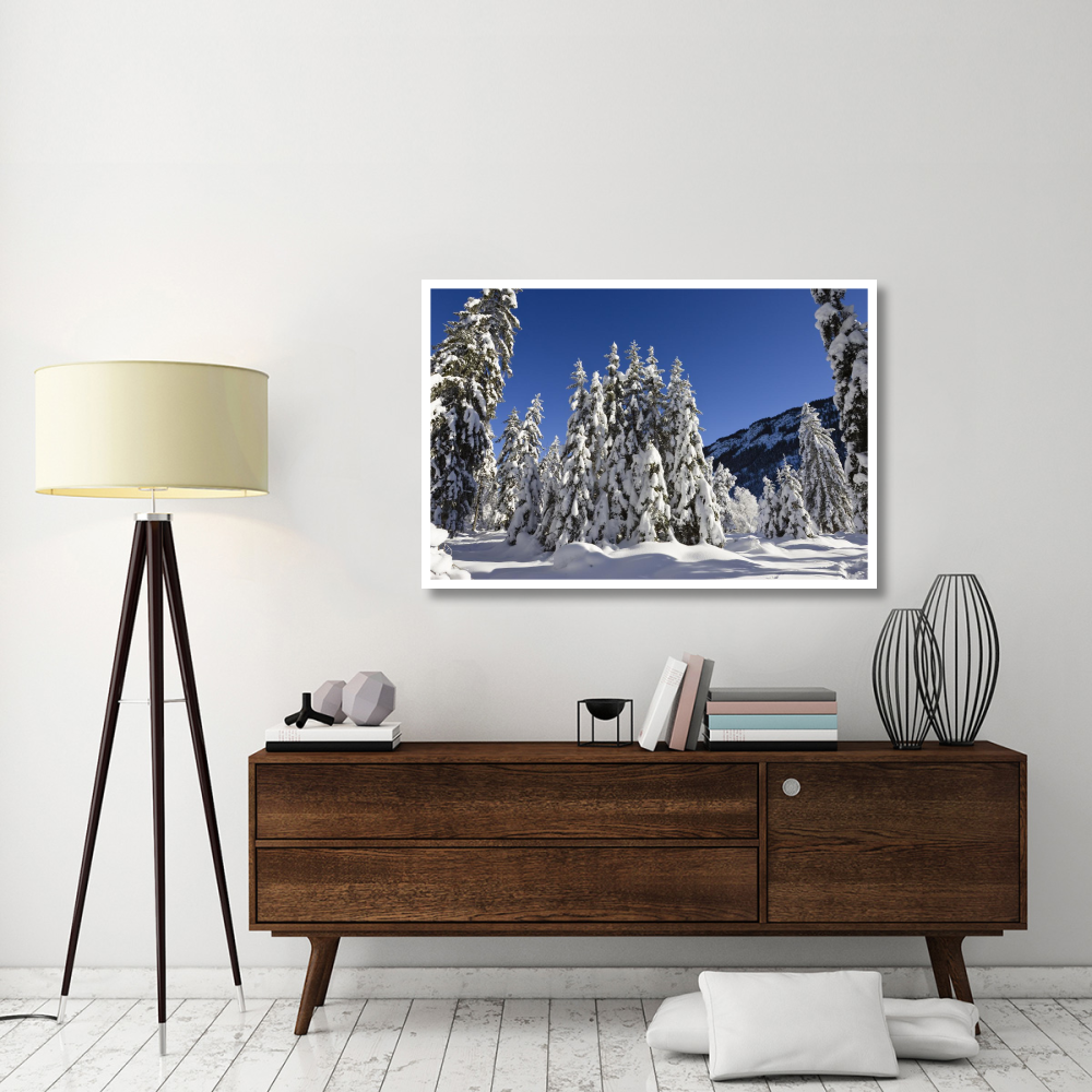 Coniferous forest in winter, Wetterstein Mountains, Alps, Upper Bavaria, Germany-Paper Art-50&quotx34"